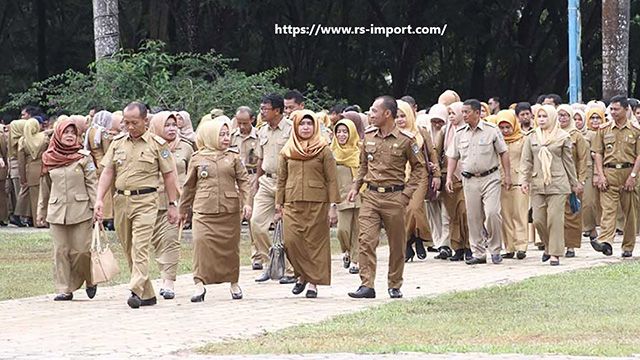 Buka Link Info.gtk.kemdikbud.go.id untuk Update Data PPPK 2021