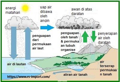 Mengenal Siklus Air: Gambar serta Tahapannya